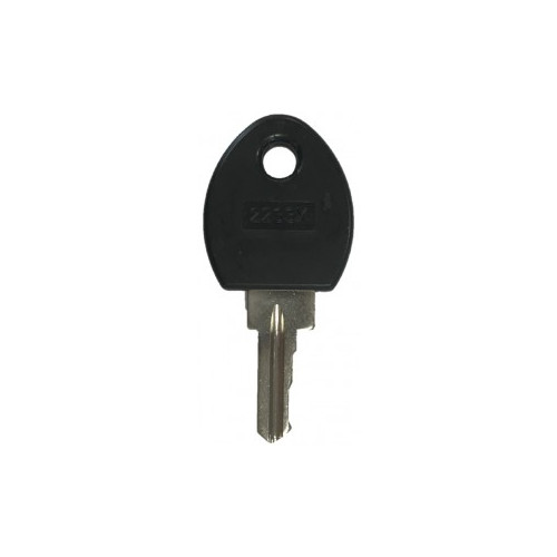 ZX Series Panel Spare Key (Each)
