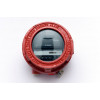 Apollo Flameproof Intelligent IR2 Flame Detector